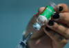 Vacinação em SC: 1.858.967 doses contra a Covid-19 foram aplicadas no estado