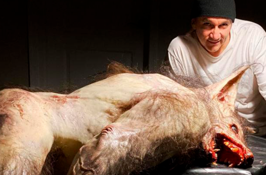 É FAKE! Vídeo mostra lobisomem morto