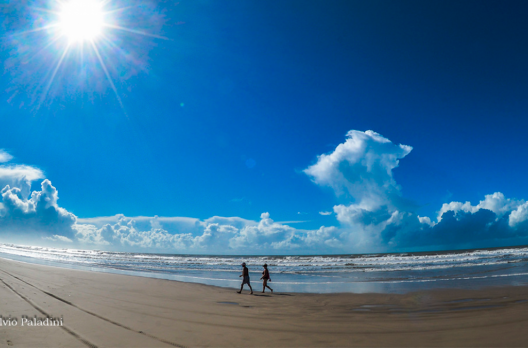 Natureza em suas diversas formas