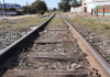 Cachorro morre após ser amarrado a trilho de trem em Joinville