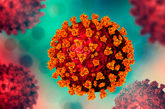Coronavírus em SC: Estado confirma 1.128.471 casos, 1.098.099 recuperados e 18.265 mortes