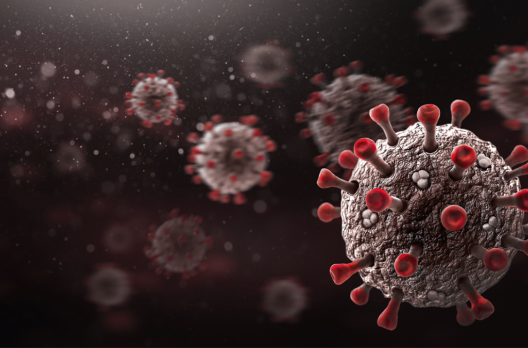 Coronavírus em SC: Estado confirma 1.150.649 casos, 1.119.059 recuperados e 18.607 mortes