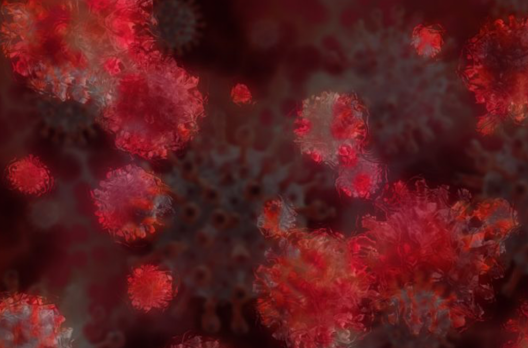 Coronavírus em SC: Estado confirma 1.153.610 casos, 1.121.963 recuperados e 18.640 mortes