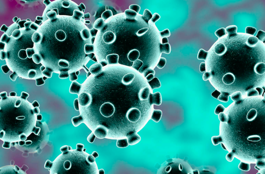 Coronavírus em SC: Estado confirma 1.154.865 casos, 1.124.732 recuperados e 18.666 mortes
