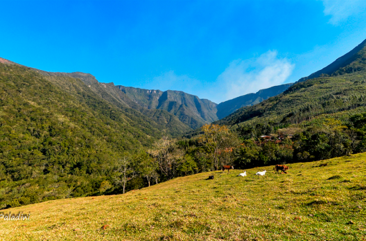 A natureza em suas diversas formas 