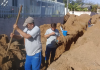 SAMAE - Ligações na rede de esgoto sanitário serão fiscalizadas