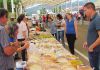 Jacinto Machado: feira terá peixe vivo na Quinta-Feira Santa