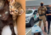 Mulher é presa em flagrante por abandonar filhotes de gatos