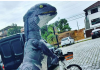 Dinossauro caixeiro: personagem famoso em Joinville é preso por arrombar caixa eletrônico