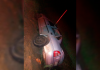 Carro cai em vala e motorista fica preso em ferragens