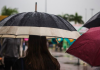 Tempo em SC surpreende com geada e baixas temperaturas nesta semana