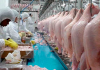 Carnes ficam 10% mais caras em 2021; frango em pedaços salta 30%