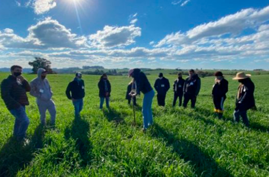 Balanço 2021: Epagri comemora 30 anos com a retomada segura das atividades presenciais