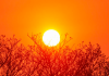 SC tem aviso especial da Defesa Civil para calor acima de 40°C