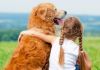 Autismo: Uma história de amor entre o autista e seu PET