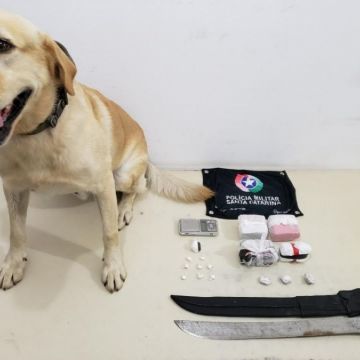 Polícia fecha ponto de venda de drogas no Morro dos Conventos com ajuda do K9
