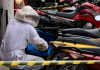 Enxame de abelhas se aloja em moto em SC