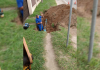 Implantação da fibra óptica na BR-101 danifica tubulação, interferindo no abastecimento de água