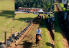36º Rodeio Crioulo Nacional do CTG Vale da Amizade começa hoje em Turvo