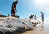 Sem licenças para a pesca da tainha, pescadores prometem manifestação na próxima segunda-feira