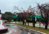 Neve ‘dá trégua’, mas temperaturas permanecem baixas e frio continua em SC