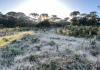 Onda de frio persiste em SC e fim de semana terá geada por todo o Estado