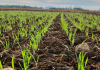 Cooperja prepara 1ª Edição de Inverno do Campo Agroacelerador