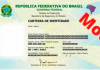 Saiba tudo sobre o CIN, o novo RG; é obrigatório? Tire dúvidas!