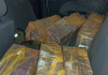 Mais de 280 quilos de maconha são apreendidos após motorista tentar atropelar policial na BR-101