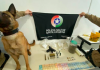 PM descobre laboratório de cocaína e aprende armas, drogas e dinheiro no Arroio do Silva