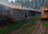 Aviário pega fogo em Araranguá