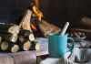 Inverno x alimentos