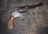 Revolver calibre 38 e munições são apreendidos em Praia Grande