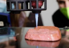 Carne de laboratório deve chegar ao mercado brasileiro em 2024