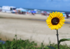 Balneário Gaivota: Primeira semana do ano termina com praias lotadas e movimentação geral