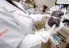 Santa Catarina tem aproximadamente nove doadores de sangue a cada mil habitantes