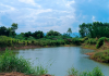 Prefeito de Meleiro projeta Parque Ambiental