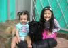 Família procura cachorrinha desaparecida