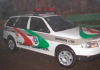 Arroio do Silva: Homem é preso após ameaça e disparo de arma de fogo