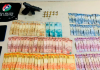 Coloninha: Polícia militar prende casal na posse de arma de fogo, munição e dinheiro