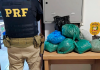 PRF prende homem com mais de seis quilos de skunk na BR-101 em Sombrio