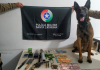 PM apreende drogas, munições e arma de fogo em Balneário Arroio do Silva