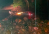 Carro é arrastado por correnteza em Praia Grande