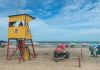 Litoral sul catarinense registra aumento de ocorrências com águas-vivas