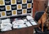 Polícia Civil da comarca de Sombrio deflagra ‘operação rescaldo’, e em cumprimento de mandados de busca, localiza e apreende duas armas de fogo e drogas