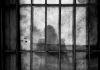 Réu é condenado a 32 anos de prisão por crime bárbaro praticado em Timbé do Sul