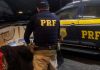 10 mil maços de cigarros contrabandeados são apreendidos na BR-101 em Tubarão