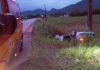 Homem de 52 anos sofre acidente de trânsito em Morro Grande 