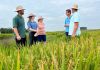 Confiança e dedicação do associado Cooperja no cultivo de sementes