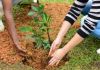 MEIO AMBIENTE: Programação especial valoriza ações sustentáveis e conscientização